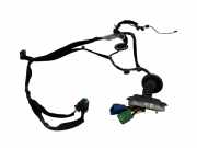 Kabel Tür Citroen DS5 () 9801371580