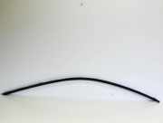 Andere Verkleidungsteile BMW 4 Coupe (F32, F82) 428 i
