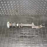 Stoßdämpfer vorne links AUDI A4 (8W2, B9) 2.0 TDI 8W0031AK