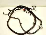 Kabelbaum Citroen DS4 (NX) 9673376380