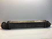 Ladeluftkühler MERCEDES-BENZ E (W211) E 320 CDI (211.022) A2115003902 2115003902