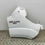 Kotflügel vorne rechts FIAT DUCATO Furgon (250_, 290_) 130 Multijet 2,3 D 1374375080