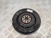 Kurbelwellenriemenscheibe AUDI A7 Sportback (4GA, 4GF) S7 quattro 079105251AP