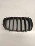 Vorderer oberer Gitter BMW X5 (E70) xDrive 35 i 7171396