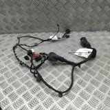 Türverkabelung hinten rechts