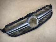 Vorderer oberer Gitter MERCEDES-BENZ C (W205) C 400 4-matic (205.066) A2058881900