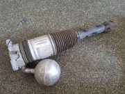 Stoßdämpfer links hinten VW Phaeton (3D) 3D0616001H