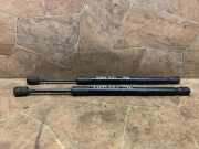 Gasfeder für Motorhaube BMW X5 (F15, F85) 7308065