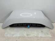 Motorhaube FIAT DUCATO Furgon (250_, 290_) 115 Multijet 2,0 D 50158078