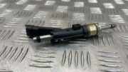 Einspritzdüse CITROËN C3 II 1.2 THP 110 9810335380