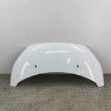 Motorhaube FORD TRANSIT CUSTOM Minibus / passenger 2.2 TDCi PBK21-A16612-AD