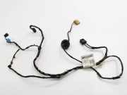 Kabel Tür vorne rechts MERCEDES-BENZ A (W169) A 160 CDI (169.006, 169.306) 917976100 A1695408033