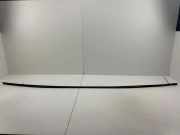 Dachleiste links TOYOTA AVENSIS (_T25_) 2.0 (AZT250_)