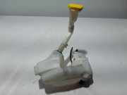 Fensterwaschtank RENAULT LAGUNA III (BT0/1) 1.5 dCi (BT00, BT0A, BT0T, BT1J) 289100003R