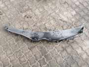 Abdeckkappe Scheinwerferwaschanlage links MERCEDES-BENZ CLK Cabrio (A209) CLK 320 CDI (209.420) 2038301713