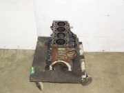 Motorblock AUDI A6 (4F2, C6) 2.0 TDI 03L021BG CAHA