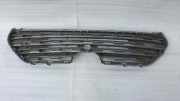 Vorderer oberer Gitter TOYOTA RAV 4 V (XA50) FWD LE 2.5 5311242220