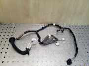 Türverkabelung hinten links RENAULT KADJAR (HA_, HL_) 1.5 dCi 110 241271979R