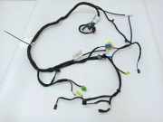 Kabelbaum MERCEDES-BENZ S (W223) S 350 d (223.030) A2218002015 2215402633