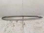 Dachreling links BMW X1 (E84) xDrive 20 d 0207400