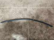 Zierleiste Windschutzscheibe Frontscheibe BMW 6 Cabrio (F12) 650 i xDrive