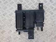 Rußfilter HYUNDAI TUCSON (NX4E, NX4A) 1.6 T-GDi Hybrid 31420CZ000
