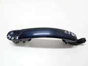 Türaußengriff hinten links