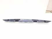 Kennzeichenbeleuchtung Verkleidung FORD GALAXY (WGR) 2.8 V6