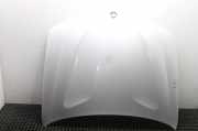 Motorhaube BMW X3 (F25) xDrive 20 d TITANSILBER (354)