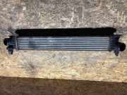 Ladeluftkühler Citroen Jumper III Bus () 53144431