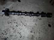 Einlassnockenwelle AUDI A6 (4F2, C6) 3.0 TDI quattro