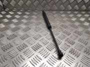 Heckklappe Gasdruckfeder links RENAULT ESPACE IV (JK0/1_) 2.0 dCi (JK01, JK02, JK1J, JK1K) 8200362400