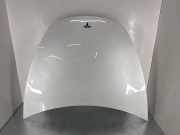 Motorhaube TESLA MODEL 3 EV 1081390E0C