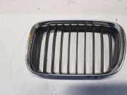 Gitter Grill vorne links BMW 5 Touring (E39) 525 tds M60ZB81845319