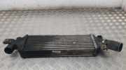 Ladeluftkühler Nissan Primera (P12) 14461AW300