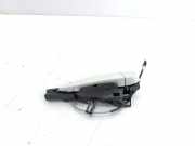 Türgriff rechts hinten BMW X6 (E71, E72) 51217162434