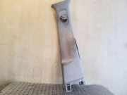 Rechte Seite B Säulenverkleidung