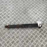 Stoßdämpfer links hinten Renault Megane III CC (EZ) 562100022R