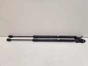 Heckklappe Gasdruckfeder links TOYOTA COROLLA Verso (ZER_, ZZE12_, R1_) 2.2 D-4D (AUR10_) 689600F012