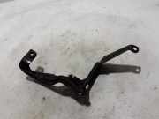 Kühlerträger Audi A6 (4F, C6) 4F0145813F