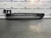 Gitter vorne unten MERCEDES-BENZ B (W246, W242) B 250 4-matic (246.246) A2468352222