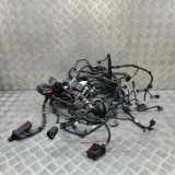 Motor Kabelbaum FORD PUMA (J2K, CF7) 1.0 EcoBoost mHEV M1TT-2B512-CBB N1TT-14290-PPE