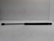 Heckklappe Gasdruckfeder rechts FORD FOCUS (DAW, DBW) 1.8 TDCi 4M51A406A10AB