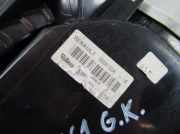 Rücklicht hinten links RENAULT MEGANE II (BM0/1_, CM0/1_) 1.9 dCi 89398082 8200073236