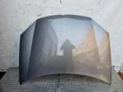 Motorhaube VW GOLF V (1K1) 1.9 TDI