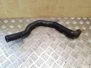 Schlauch Kühlung RENAULT ESPACE IV (JK0/1_) 2.2 dCi (JK0H)