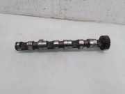 Auslassnockenwelle AUDI A6 Avant (4B5, C5) 2.5 TDI quattro 102R