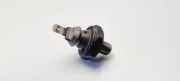 Öldruckmesser VW PASSAT B5 (3B2) 1.9 TDI 068919081A