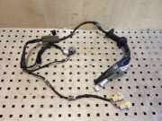 Kabel der vorderen linken Tür