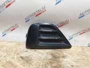 Gitter vorne unten BMW X2 (F39) X2 sDrive18d 9879932 51119879932